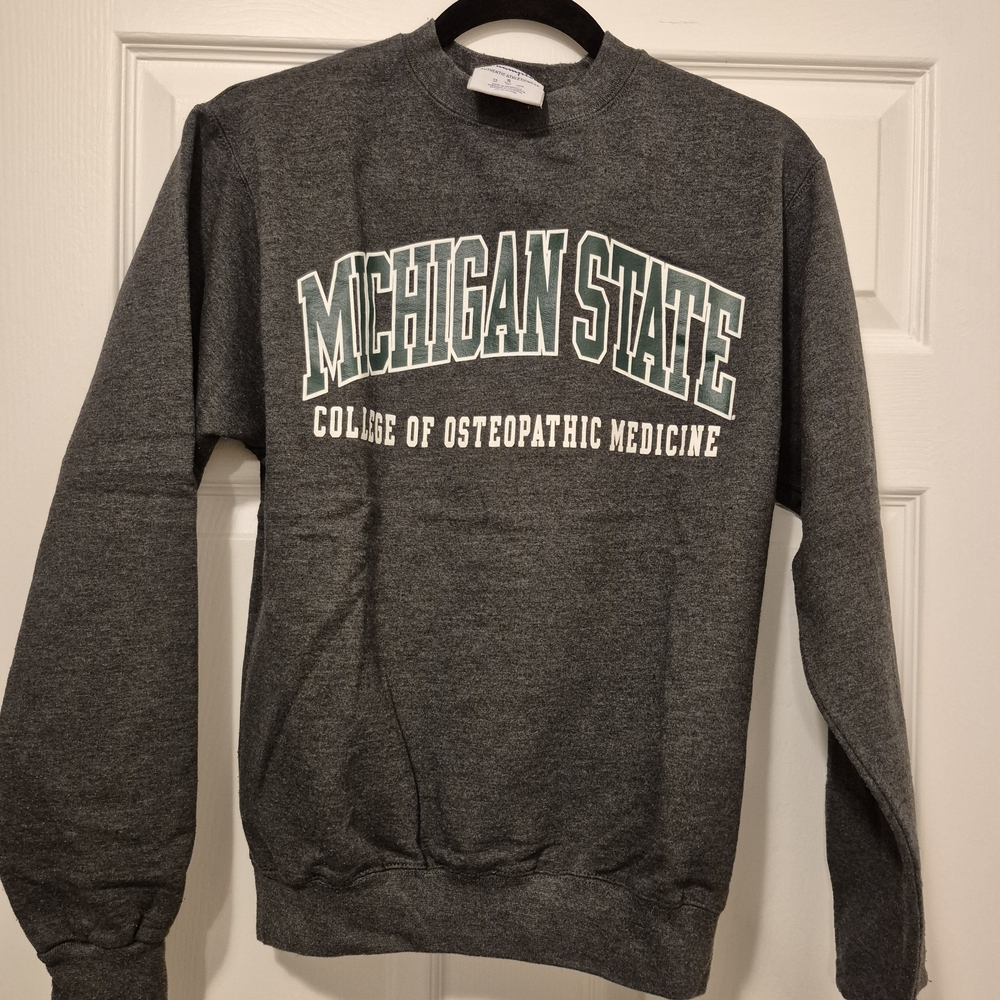 Champion Gray MSUCOM Crewneck Sweater